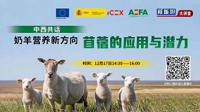 Foto de La campaña de promoción de la alfalfa española en China recalca los beneficios en ovejas lecheras