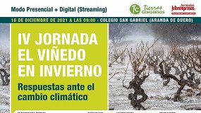 Foto de La viña también tiene respuestas ante el cambio climático durante la parada vegetativa
