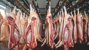 Foto de Atecyr organiza un curso online sobre refrigeración en mataderos