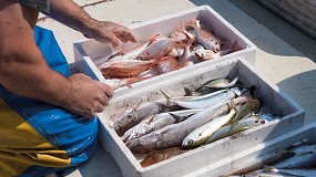 Foto de Anfaco-Cecopesca lidera un proyecto para obtener proteína de subproductos y descartes pesqueros