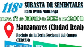 Foto de La subasta de raza Manchega de Manzanares (Ciudad Real) reunirá a más de 100 sementales