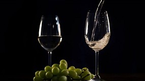 Foto de Placas filtrantes y la clarificación del vino