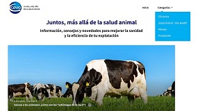 Foto de Nuevo blog de Ceva Salud Animal con información sobre la producción de rumiantes