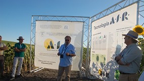 Foto de Syngenta lanza su nueva tecnología AIR que aporta mayor seguridad y flexibilidad al cultivo de girasol