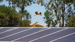 Foto de Unef desmiente los diez principales mitos sobre la energía solar