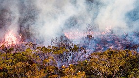 Foto de El proyecto FIPAS y la Comunidad Temática EIT Climate-KIC fomentan la innovación ambiental con un Sistema de Alarma de Predicción de Incendios Forestales en Pehchevo