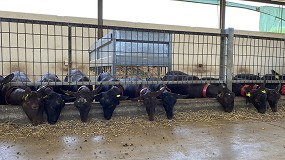Foto de El coste de alimentación en caprino lechero llega al récord con una subida mensual del 5,6%