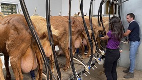 Foto de Debacle en el sector productor de caprino de leche en Castilla-La Mancha, Extremadura y Murcia
