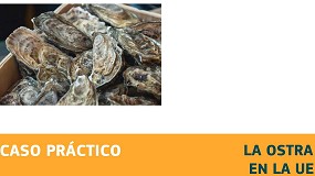 Foto de EUMOFA publica el estudio ‘La ostra en la UE’