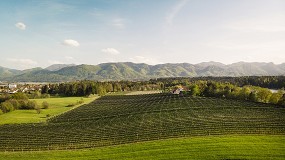 Foto de Las explotaciones agrarias en España tienen una superficie media de 44 hectáreas