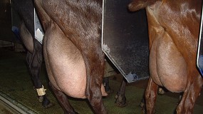 Foto de La cotización de la leche de cabra aumenta un 24,2% anual en el arranque de 2023