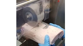 Foto de Mquina de limpeza de pele de peixe PP (ficha de produto)