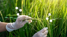 Foto de La investigación y la ciencia serán claves para avanzar hacia una agricultura sostenible