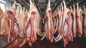 Foto de Hay colapso en los mataderos debido a la sequa?