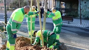 Foto de Albacete anuncia la plantacin de 640 rboles en barrios y pedanas