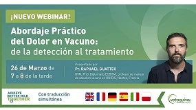 Foto de Webinar organizado por Vetoquinol sobre dolor en ganado vacuno