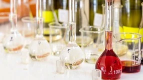 Foto de Un nuevo mtodo permite detectar la cantidad de bacterias acticas en el vino que afectan a su aroma