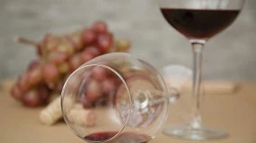 Foto de Soluciones para la elaboracin de vino sin sulfuroso