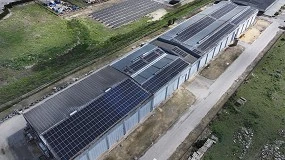 Foto de Williams & Humbert instala 539 kWp fotovoltaicos en su bodega de Jerez de la Frontera