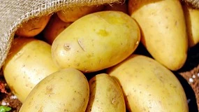 Foto de Cartagena impulsa un sello de calidad para reconocer la patata producida en la zona