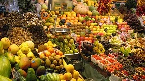 Foto de La UPV subraya la importancia de controlar la seguridad alimentaria en frutas y verduras