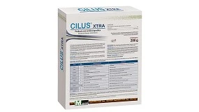 Foto de The Very Best: Massó