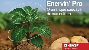 Foto de The Very Best: BASF