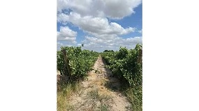 Foto de Proteção e fertilização resíduo zero