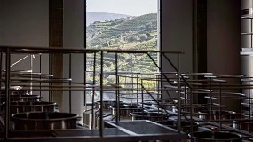 Foto de Novo investimento: Centro de Vinificação do Vale do Douro já arrancou para a primeira vindima