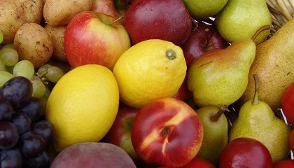 Foto de Las exportaciones de frutas y hortalizas siguen batiendo rcords