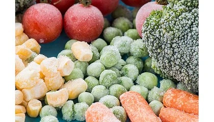 Foto de El mercado espaol de verduras congeladas sigue al alza