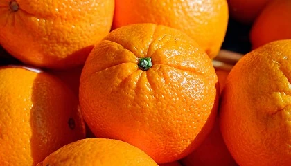 Foto de Denuncian que Sudfrica utiliza en sus naranjas materias activas de pesticidas prohibidas en la UE