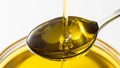 Foto de Patrones metablicos en la ruta de la lipoxigenasa asociados a los atributos de frutado del aceite de oliva virgen extra