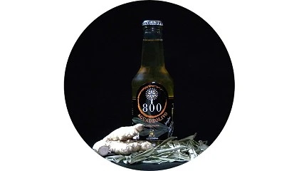 Foto de Crean una gama de bebidas saludables fabricadas con hojas de olivo