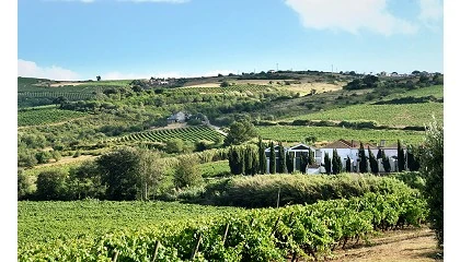 Foto de WineStone entra na regio de Lisboa com aquisio da Quinta de Pancas