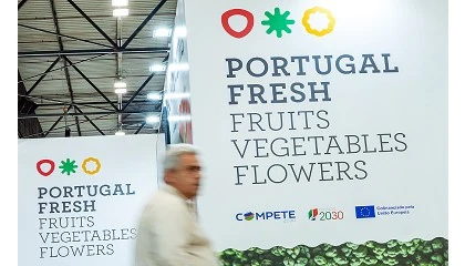 Foto de Frutas, legumes e flores crescem em exportaes