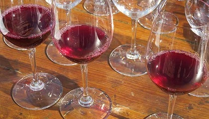 Foto de La DOCa Rioja aprueba denominar 'Vinos de Pueblo' a los vinos 'de Municipio'