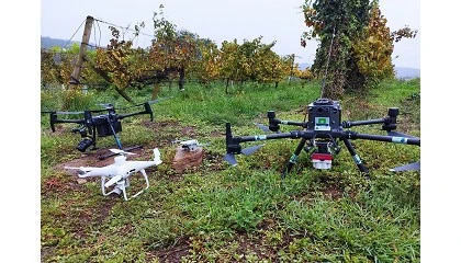 Foto de Otimizao avanada de rotas de drones para a deteo de cachos utilizando algoritmos baseados na inteligncia de enxame