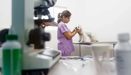 Foto de Consejos para que un centro veterinario triunfe en los medios de comunicacin