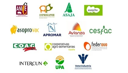 Foto de Catorce organizaciones ganaderas rechazan el nuevo reglamento europeo sobre el transporte de los animales vivos
