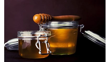 Foto de Diretivas Pequeno-Almoo com novas regras sobre rotulagem do mel