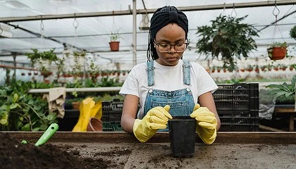 Foto de Las empresas de jardinera facturaron un 8% ms en 2023