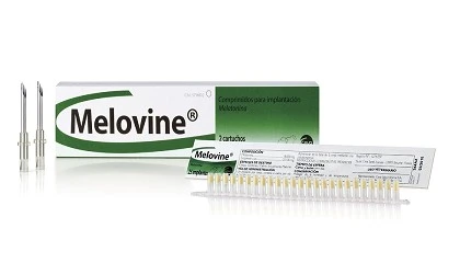 Foto de Melovine cumple 25 años como referente en la gestión reproductiva de pequeños rumiantes