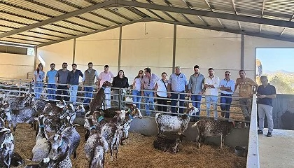 Foto de Ganaderos de Cooprado se interesan por el manejo y la genética de la raza Florida