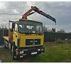 CAMION GRUA MAN 19342 4X2 PALFINGER 13000 1995 Foto