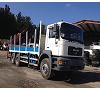 CAMION GRUA MAN 33403 6X4 PALFINGER 27000 1999 Foto