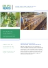 Tratamiento de subproductos vinicolas
