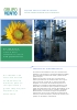 Columna Lavadora Aires en plantas de BIODIESEL