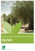 Recomendaciones nutricionales para el cultivo del olivo