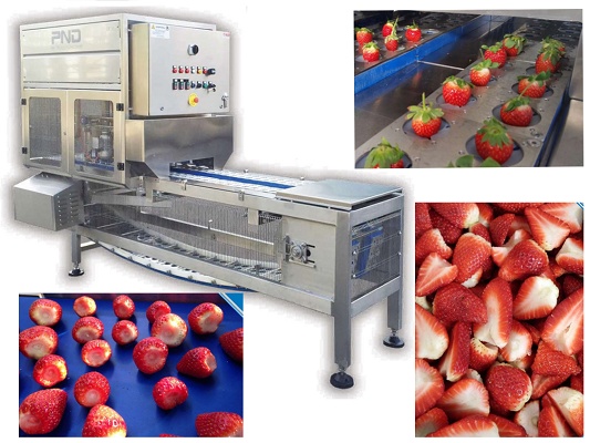 Foto de Máquina para la extracción de pedúnculo y corte de las fresas